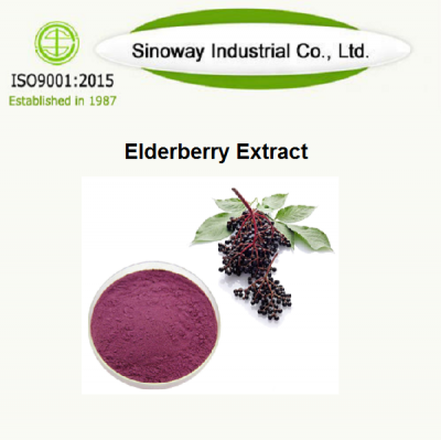 Elderberry Fruit Extract